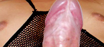 MegaCockLadyBoys