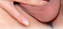 MegaCockLadyBoys